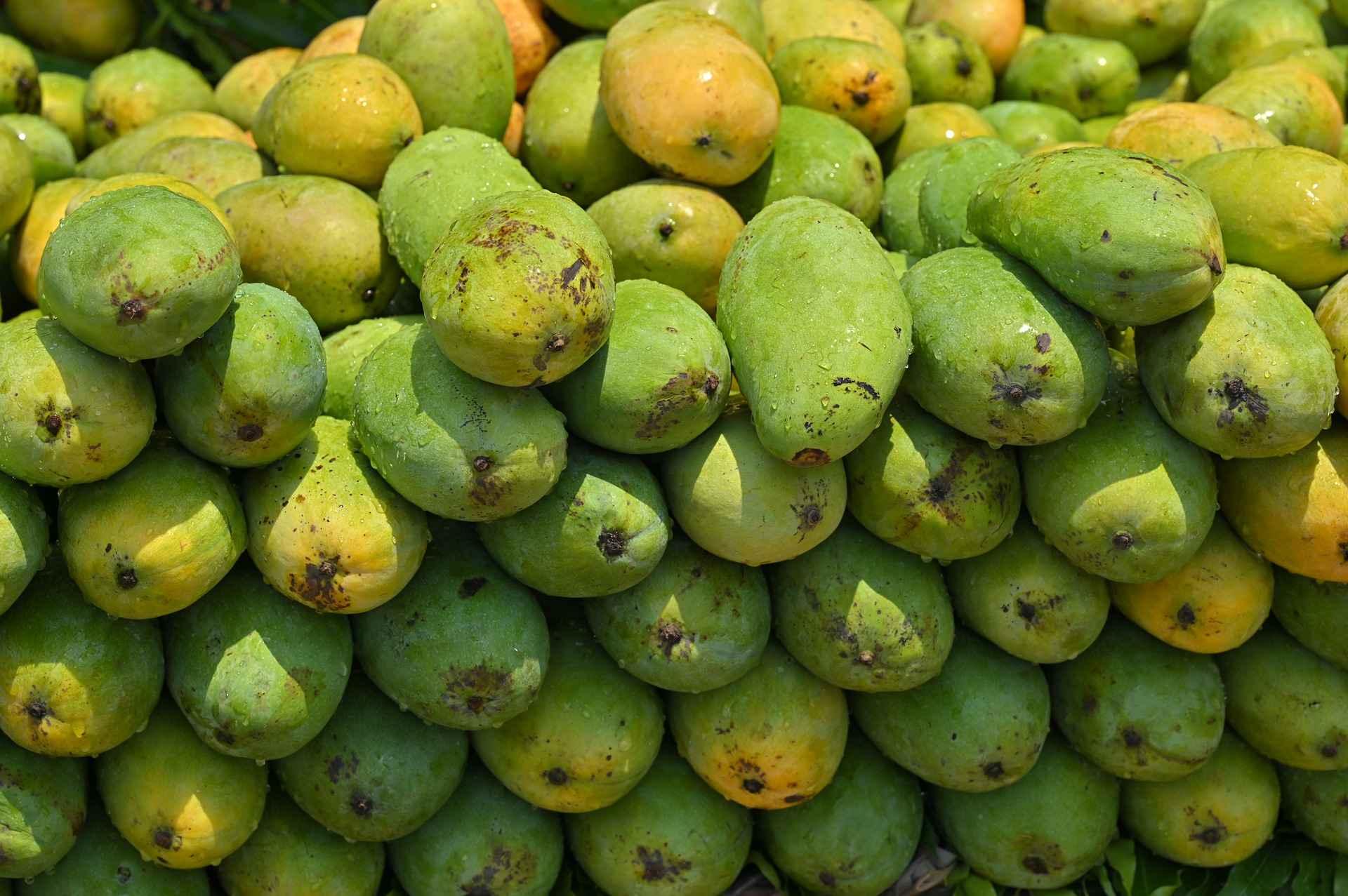 DASHERI MANGOES